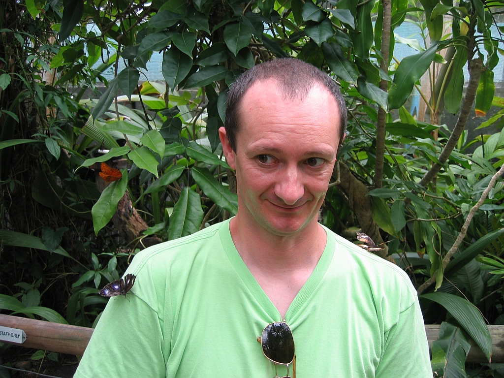 104 Kuranda Butterfly Sanctuary.jpg